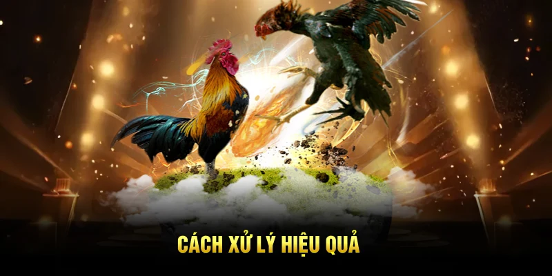 Cách xử lý hiệu quả