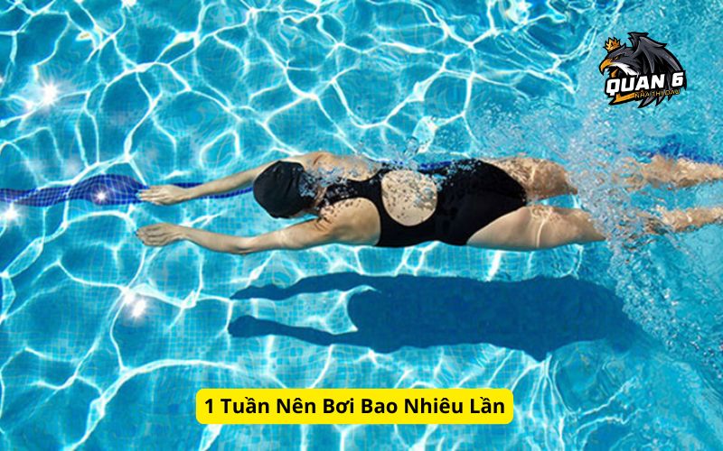 1 Tuần Nên Bơi Bao Nhiêu Lần