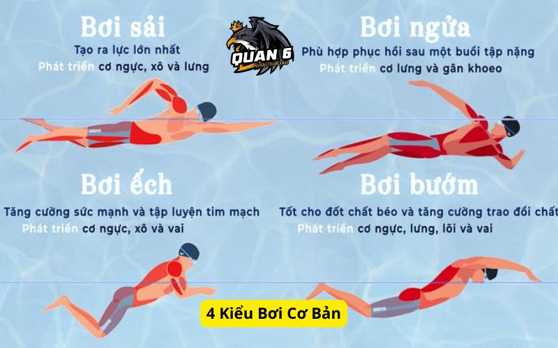 4 Kiểu Bơi Cơ Bản