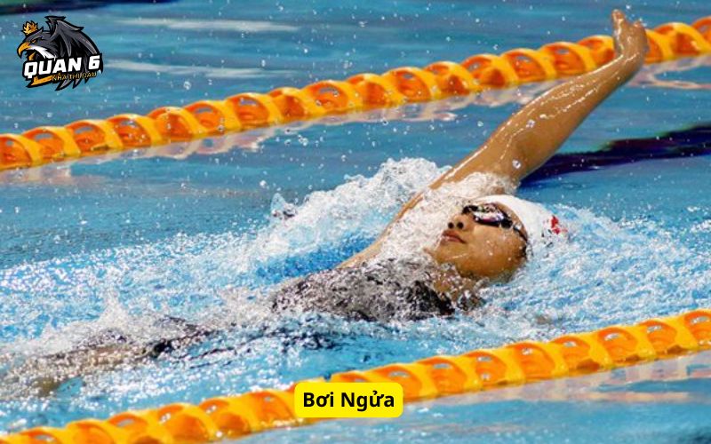 Bơi Ngửa