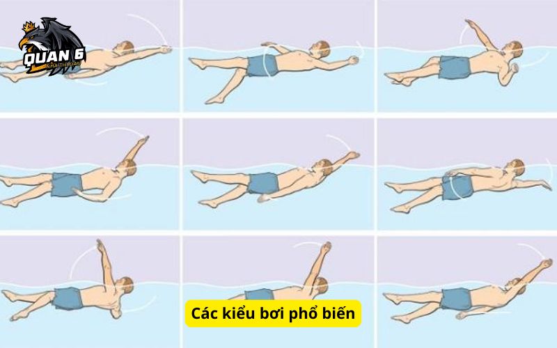 Các kiểu bơi phổ biến