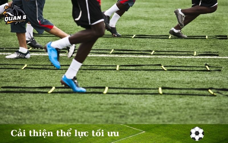 Cải thiện thể lực tối ưu
