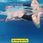 Hướng Dẫn Kỹ Năng Bơi Ếch Cho Người Mới