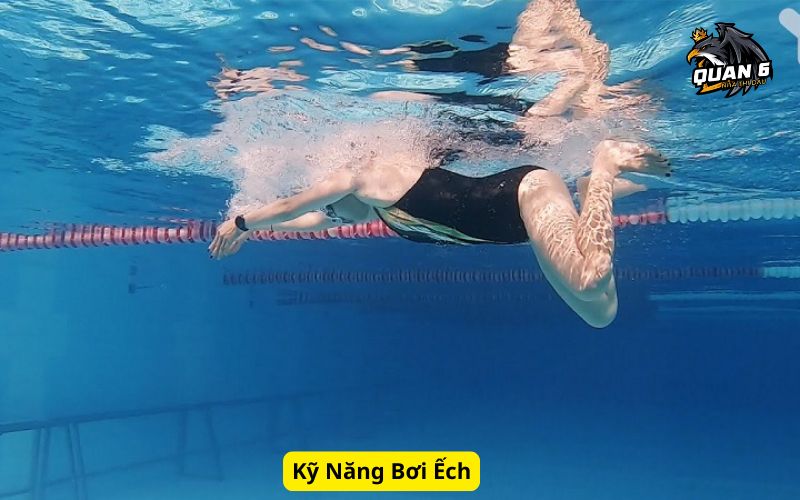 Kỹ Năng Bơi Ếch