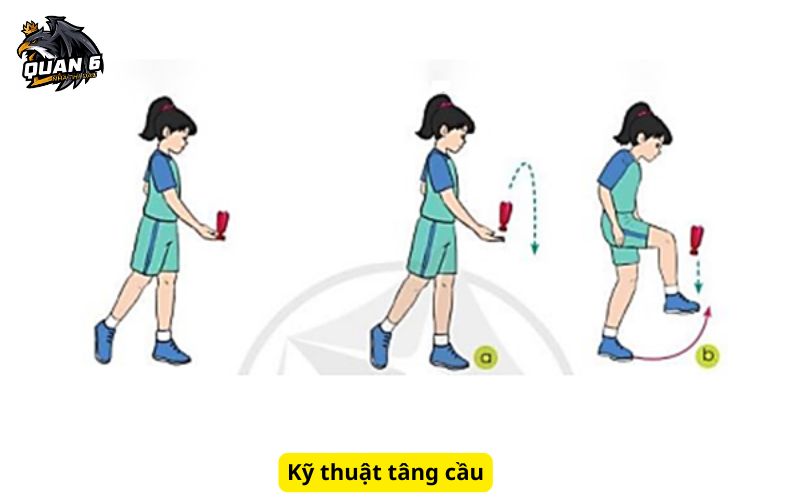 Kỹ thuật tâng cầu