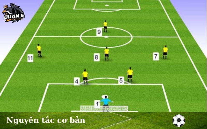 Nguyên tắc cơ bản