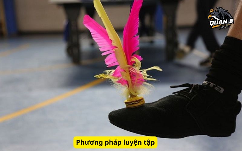 Phương pháp luyện tập