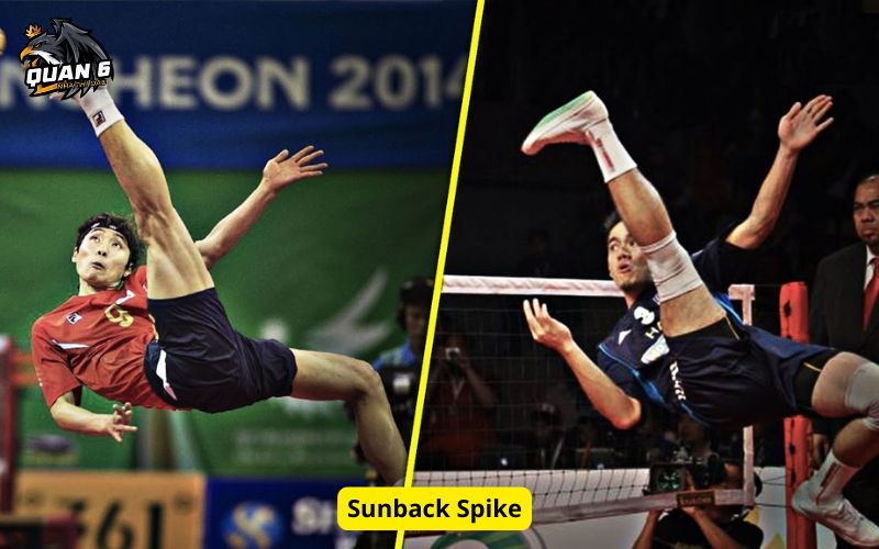 Sunback Spike