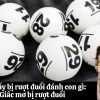 Mơ thấy bị rượt đuổi đánh con gì: Giấc mơ bị rượt đuổi