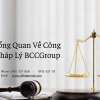 Đánh Giá Tổng Quan Về Công Ty Tư Vấn Pháp Lý BCCGroup